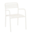 Click to swap image: &lt;strong&gt;Pier Breeze Dining ArmCh-White&lt;/strong&gt;&lt;br&gt;Dimensions: W565 x D600 x H830mm